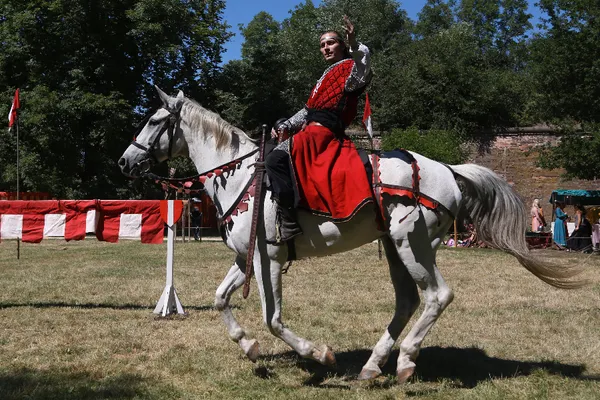 Mikuláš Cholinský